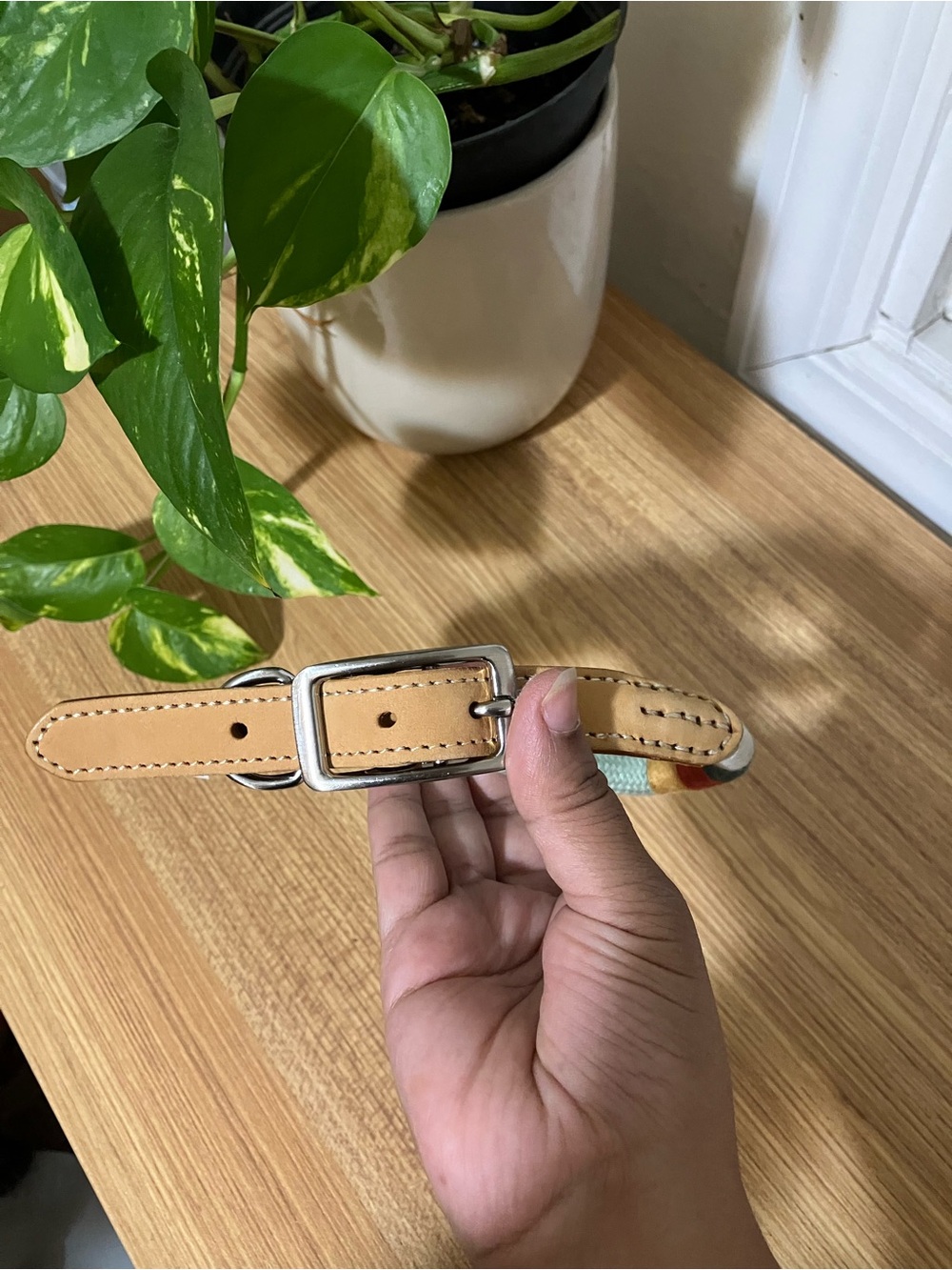 Leather Tan Dog Collar with colorful band - NWT, size M